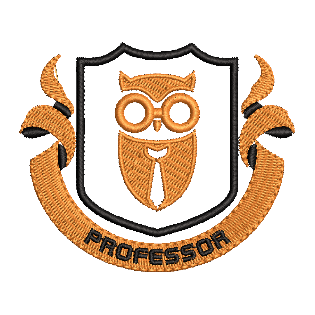 Professor